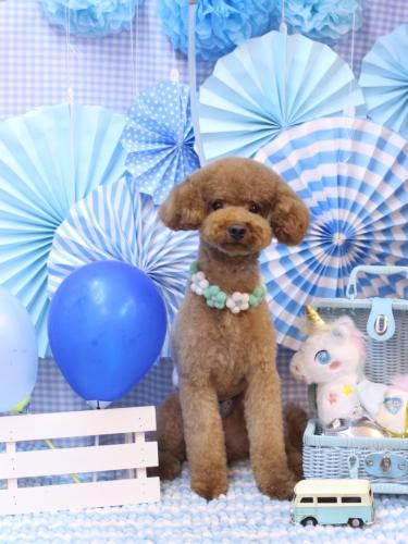 20231126まめくん